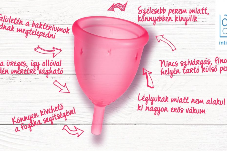LADYCUP_edukacio
