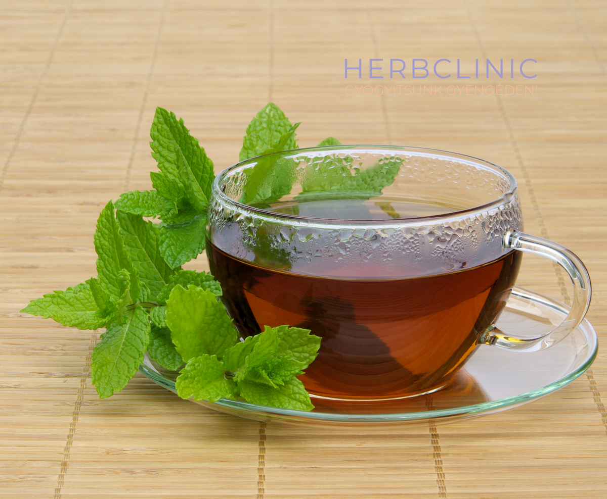 Borsmenta tea - Hányás kezelése természetes
