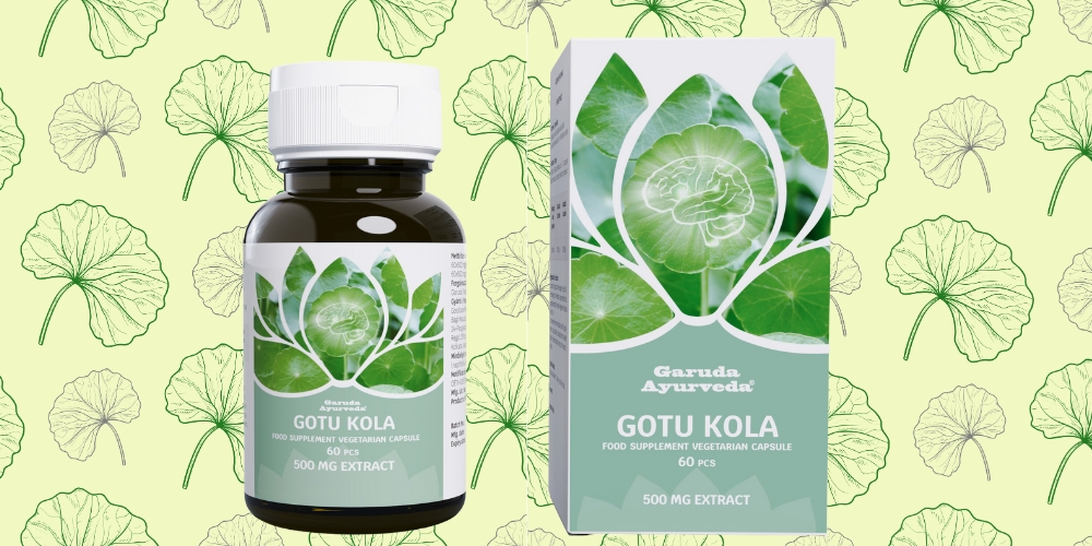 Gotu Kola: Gyógynövény, mely erősíti a memóriát és nyugtatja az elmét