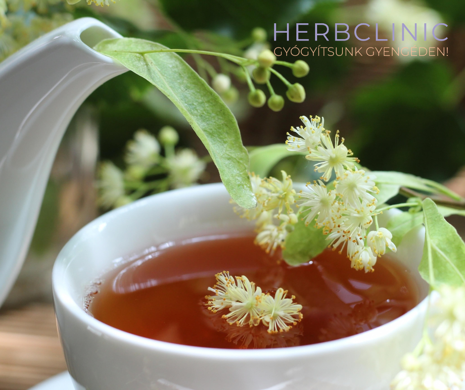Hársvirág tea - Indul a tanév, debütál a takonykór!