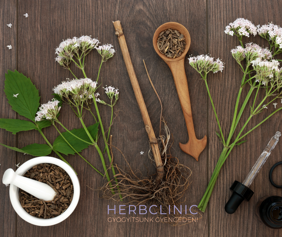 Orvosi macskagyökér- Indul az év végi hajrá- pattanásig feszülnek az idegek