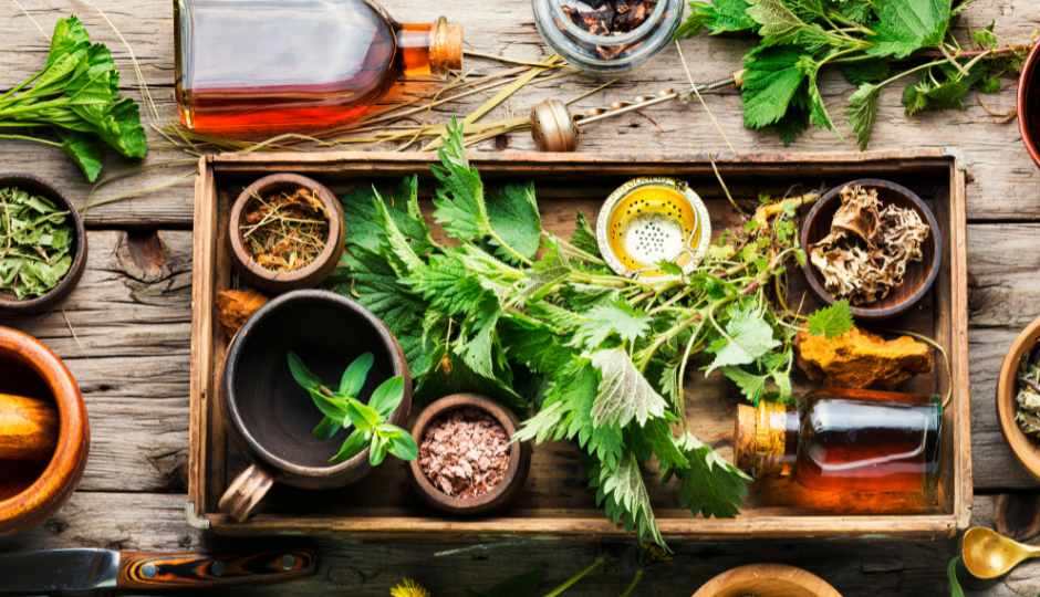 Természetes, de nem ártalmatlan – a gyógynövényhasználat buktatói Természetes, de nem ártalmatlan – a gyógynövényhasználat buktatói