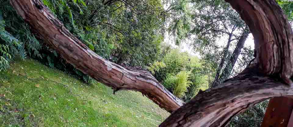 A januári életmódváltás leggyakoribb buktatói