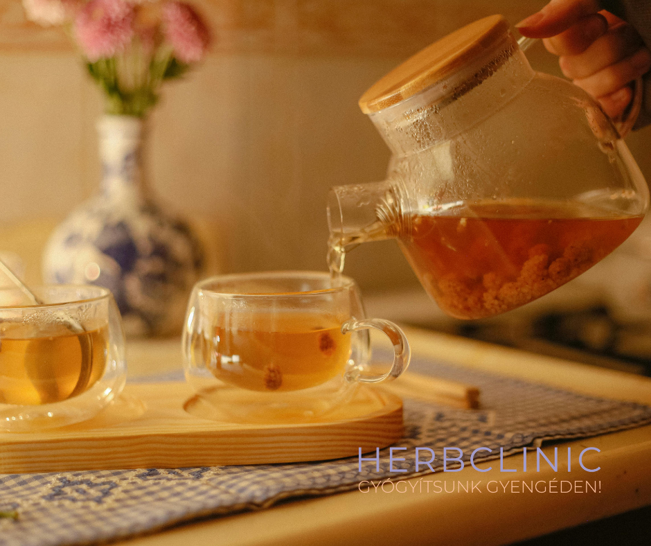 Mely gyógynövények támogatják az emésztést?