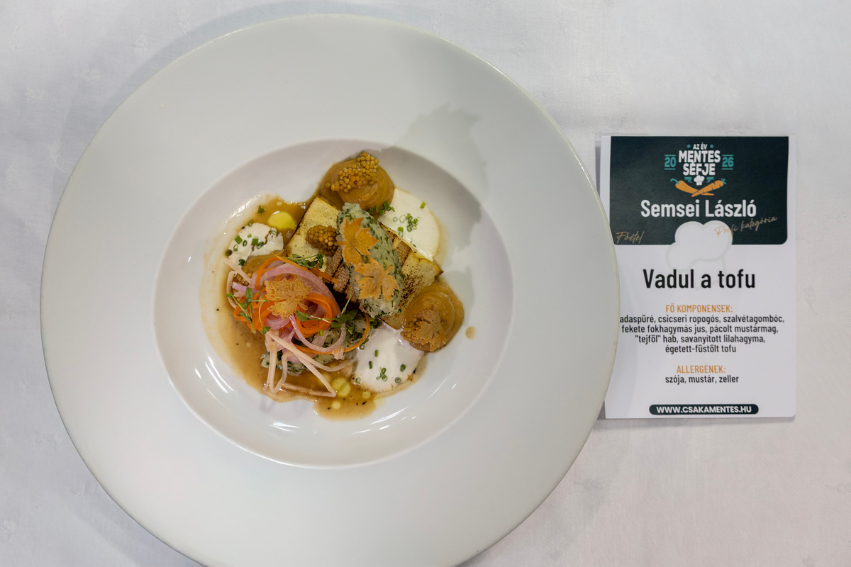 Vadul a tofu - Év Mentes Séfje 2026 profi kategória döntős versenyző - Semsei László főétele