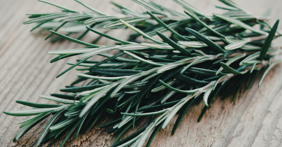 A rozmaringsav biológiai hatásai és terápiás potenciálja