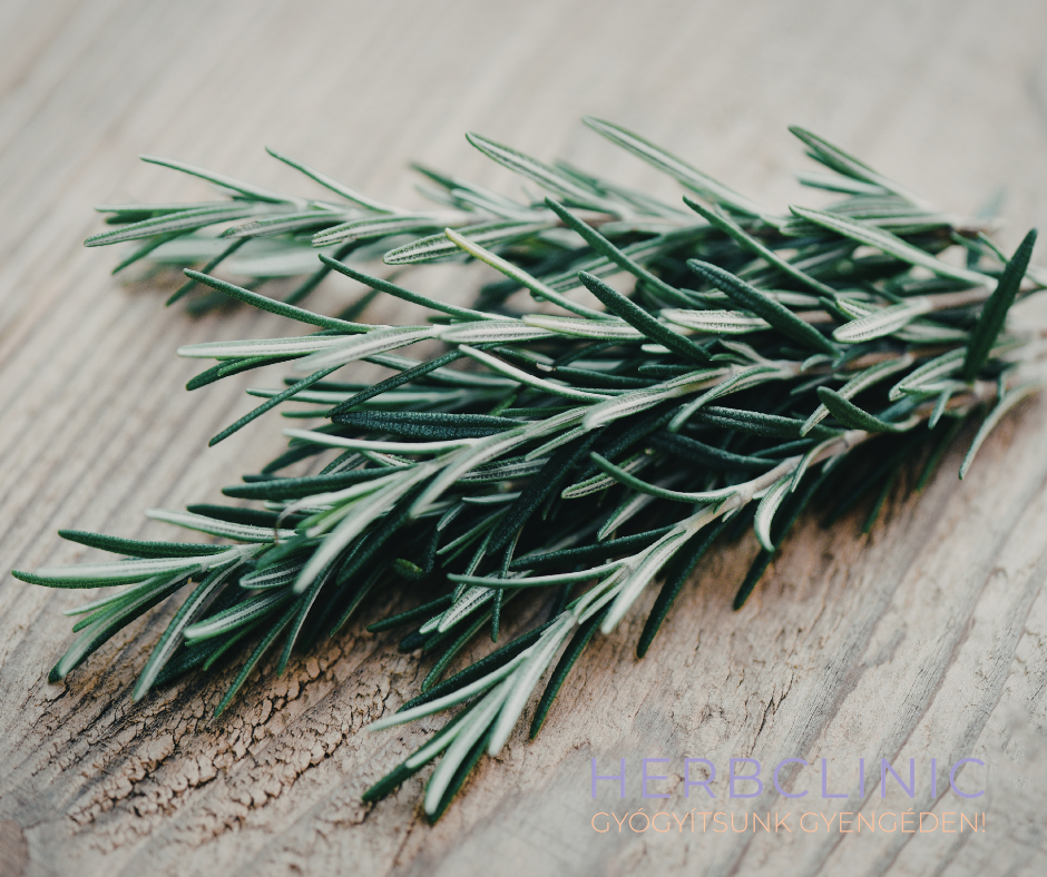 A rozmaringsav biológiai hatásai és terápiás potenciálja