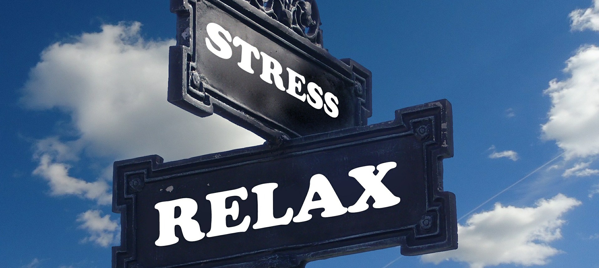 Stressz és hatásai – hogyan hat a lelki terhelés a testünkre?